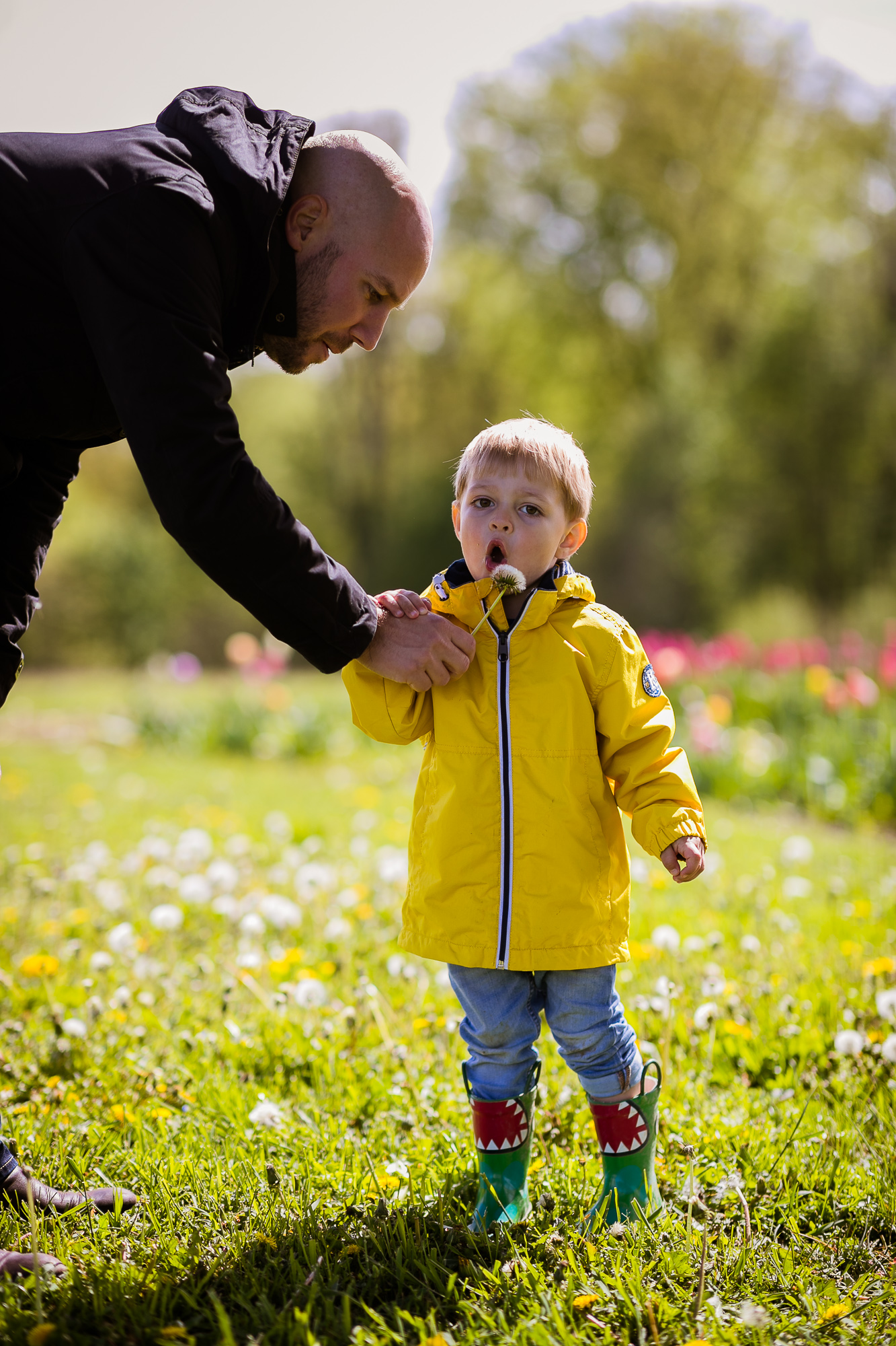 Export x3 1DX28301 Familienfotoshooting 2019 Hefti